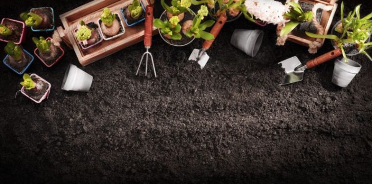 get your landscape design project started